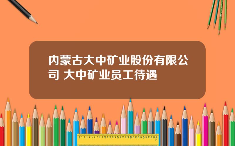 内蒙古大中矿业股份有限公司 大中矿业员工待遇